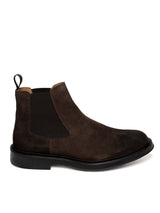 T.moro
