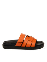 Arancio